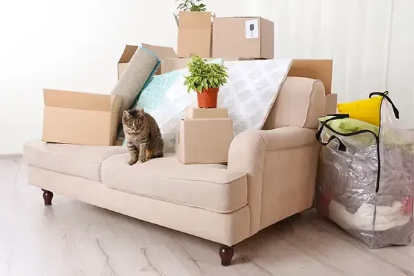 Living room prepared for a recurring cleaning service